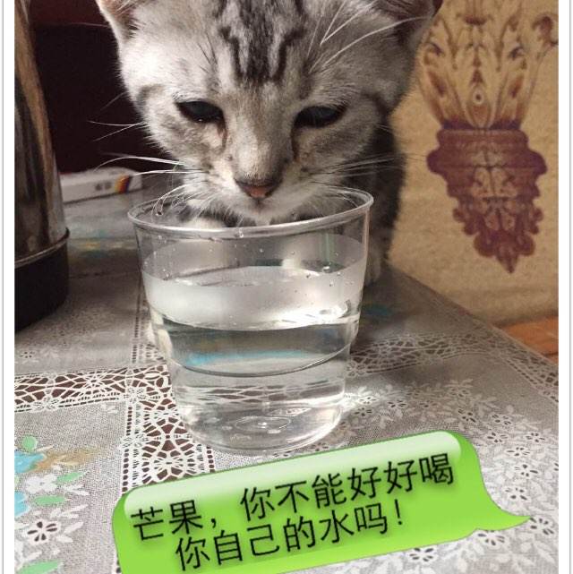 赞恩州立学院设计学位证